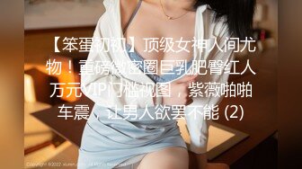 【笨蛋初初】顶级女神人间尤物！重磅微密圈巨乳肥臀红人万元VIP门槛视图，紫薇啪啪车震，让男人欲罢不能 (2)