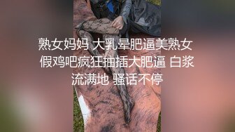 熟女妈妈 大乳晕肥逼美熟女 假鸡吧疯狂抽插大肥逼 白浆流满地 骚话不停