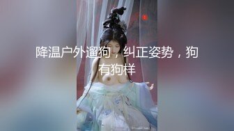 降温户外遛狗，纠正姿势，狗有狗样