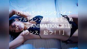 [Okazu.Sub][ピンクパイナップル]ランス01 光をもとめて THE ANIMATION 第1話「ランス、起つ！！」