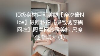 顶级身材巨乳美腿【奈汐酱Nice】最新私拍《极致诱惑黑网衣》隔着网纱露美鲍 尺度逐渐增大 (1)