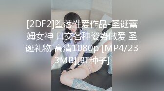 [2DF2]堕落性爱作品-圣诞蕾姆女神 口交各种姿势做爱 圣诞礼物 高清1080p [MP4/233MB][BT种子]