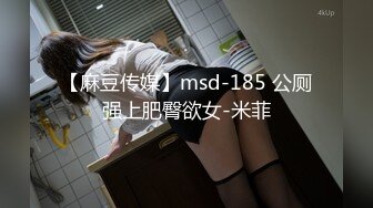 【麻豆传媒】msd-185 公厕强上肥臀欲女-米菲