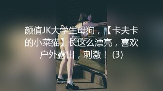 颜值JK大学生母狗，【卡夫卡的小菜猫】长这么漂亮，喜欢户外露出，刺激！ (3)