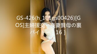 GS-426(h_101gs00426)[GOS]主婦援交〜良妻賢母の裏バイト〜［16］