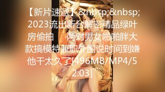 【新片速遞】&nbsp;&nbsp;2023流出新台解密精品绿叶房偷拍❤️两对男女啪啪胖大款搞模特兼职外围说时间到嫌他干太久了[496MB/MP4/52:03]