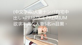 (中文字幕)人妻ナンパ自宅中出し×PRESTIGE PREMIUM 欲求不満な人妻5名in目黒・新宿 01