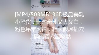 [MP4/503MB] 36D极品美乳小骚货，一对豪乳又大又白，粉色吊带网袜，粗大假屌插穴，搞的骚穴湿哒哒