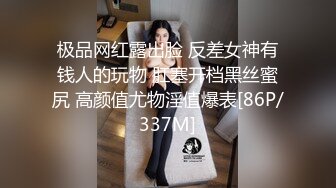 极品网红露出脸 反差女神有钱人的玩物 肛塞开档黑丝蜜尻 高颜值尤物淫值爆表[86P/337M]