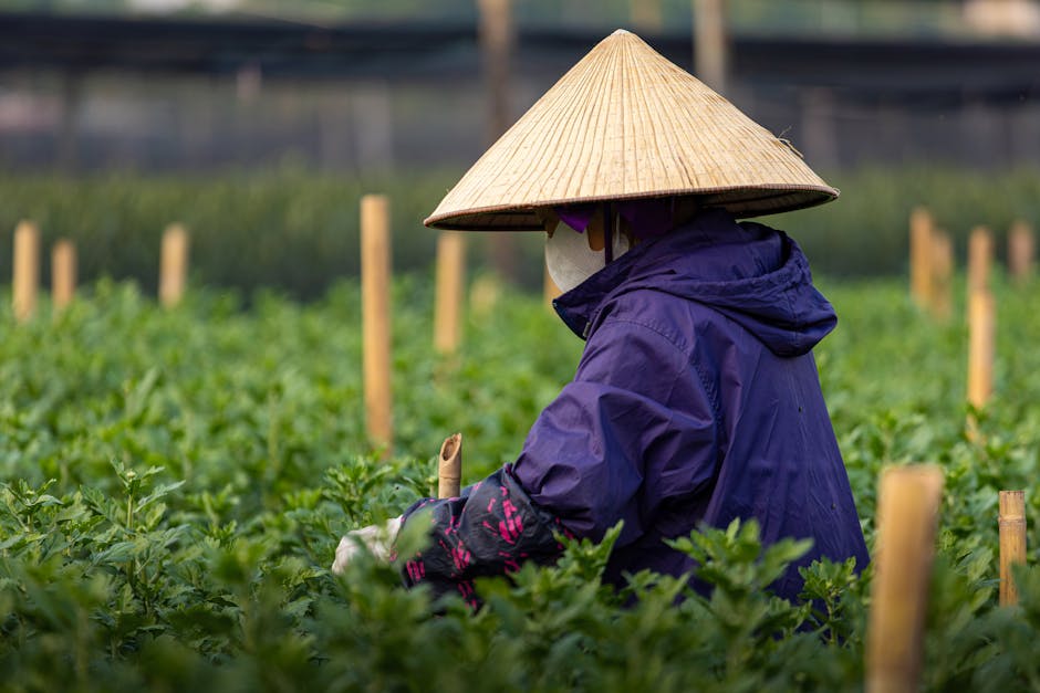 How Modern Agriculture Is Evolving in 2026: Five Transformative Advances Reshaping Global Farming - Automation, Robotics, and the Future of Farm Labor