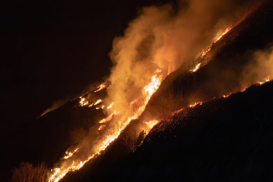 Inside the Origins of California’s Wildfires: What Sparked the Crisis in 2026 - Human Activity and Infrastructure Failures as Key Triggers