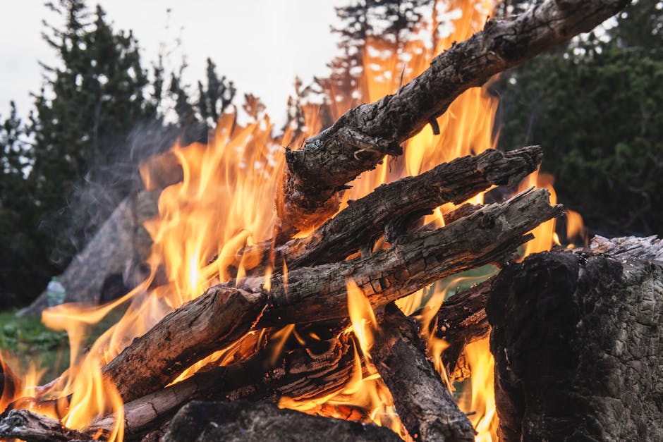 Through Smoke and Silence: A Photographer’s Lens on California’s Wildfires - Climate Reality and the Power of Visual Evidence