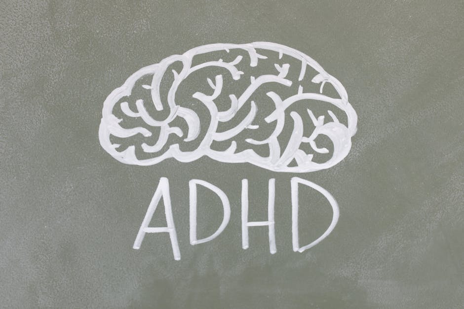 Daily Sunlight and Cognitive Health: Why Natural Light Is Essential for Brain Performance in 2026 - The Science Behind Sunlight and Brain Function